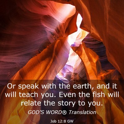 Picture 03 - Job 12:8 GW - Or speak with the earth, and it will teach you. - Bible Verse Picture