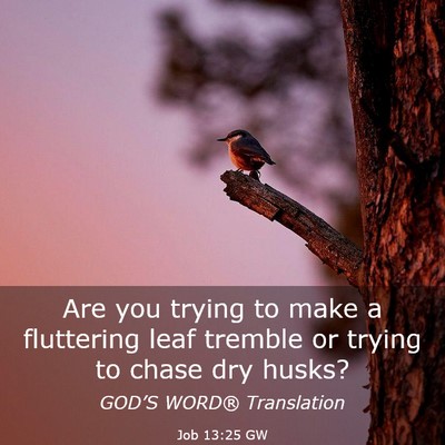 Picture 03 - Job 13:25 GW - Are you trying to make a fluttering leaf tremble - Bible Verse Picture