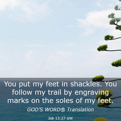 Picture 03 - Job 13:27 GW - You put my feet in shackles. You follow my trail - Bible Verse Picture
