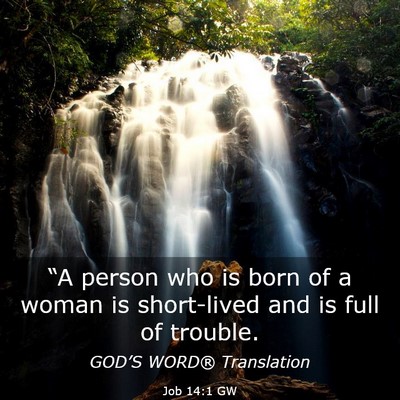 Picture 03 - Job 14:1 GW - “A person who is born of a woman is short-lived - Bible Verse Picture