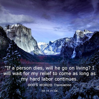 Picture 03 - Job 14:14 GW - “If a person dies, will he go on living? I will - Bible Verse Picture