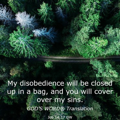 Picture 03 - Job 14:17 GW - My disobedience will be closed up in a bag, and - Bible Verse Picture