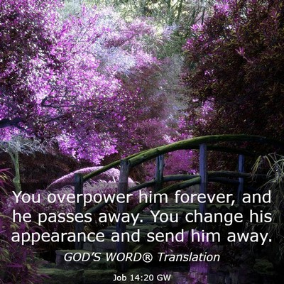 Picture 03 - Job 14:20 GW - You overpower him forever, and he passes away. - Bible Verse Picture