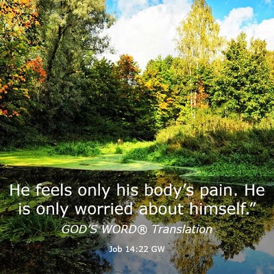 Picture 03 - Job 14:22 GW - He feels only his body’s pain. He is only - Bible Verse Picture