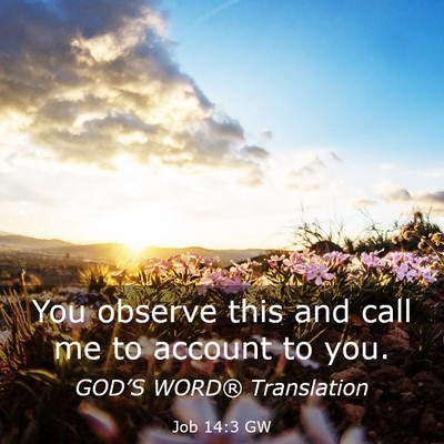 Picture 03 - Job 14:3 GW - You observe this and call me to account to - Bible Verse Picture