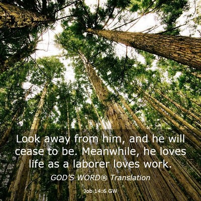 Picture 03 - Job 14:6 GW - Look away from him, and he will cease to be. - Bible Verse Picture