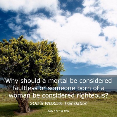 Picture 03 - Job 15:14 GW - Why should a mortal be considered faultless or - Bible Verse Picture