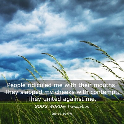 Picture 03 - Job 16:10 GW - People ridiculed me with their mouths. They - Bible Verse Picture
