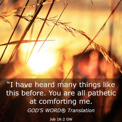 Picture 03 - Job 16:2 GW - “I have heard many things like this before. You - Bible Verse Picture