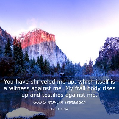 Picture 03 - Job 16:8 GW - You have shriveled me up, which itself is a - Bible Verse Picture