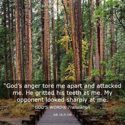 Picture 03 - Job 16:9 GW - “God’s anger tore me apart and attacked me. - Bible Verse Picture