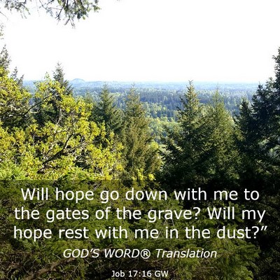 Picture 03 - Job 17:16 GW - Will hope go down with me to the gates of the - Bible Verse Picture