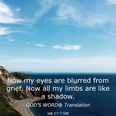 Picture 03 - Job 17:7 GW - Now my eyes are blurred from grief. Now all my - Bible Verse Picture