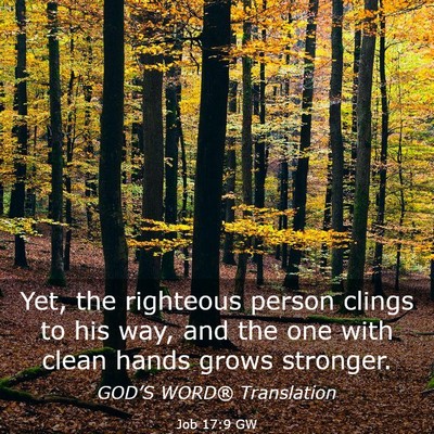 Picture 03 - Job 17:9 GW - Yet, the righteous person clings to his way, and - Bible Verse Picture