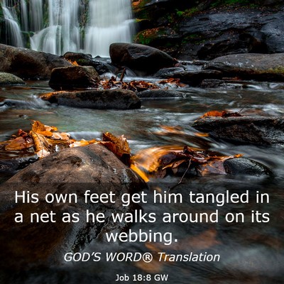 Picture 03 - Job 18:8 GW - His own feet get him tangled in a net as he walks - Bible Verse Picture