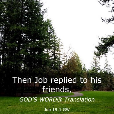 Picture 03 - Job 19:1 GW - Then Job replied to his - Bible Verse Picture