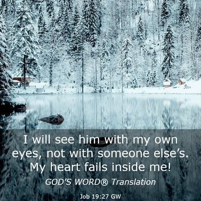 Picture 03 - Job 19:27 GW - I will see him with my own eyes, not with someone - Bible Verse Picture