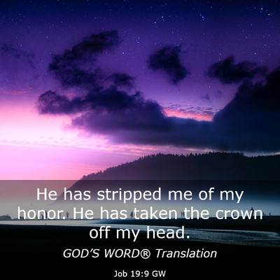 Picture 03 - Job 19:9 GW - He has stripped me of my honor. He has taken the - Bible Verse Picture