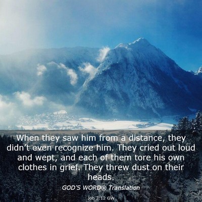 Picture 03 - Job 2:12 GW - When they saw him from a distance, they didn’t - Bible Verse Picture