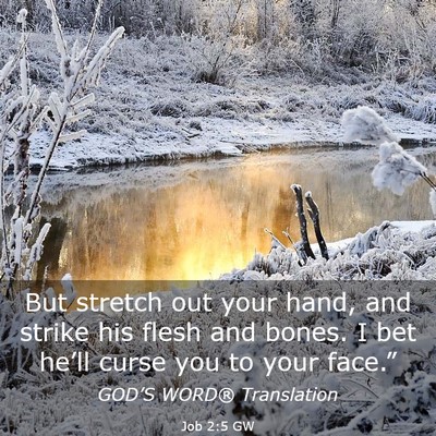 Picture 03 - Job 2:5 GW - But stretch out your hand, and strike his flesh - Bible Verse Picture