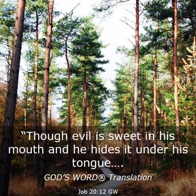 Picture 03 - Job 20:12 GW - “Though evil is sweet in his mouth and he hides - Bible Verse Picture