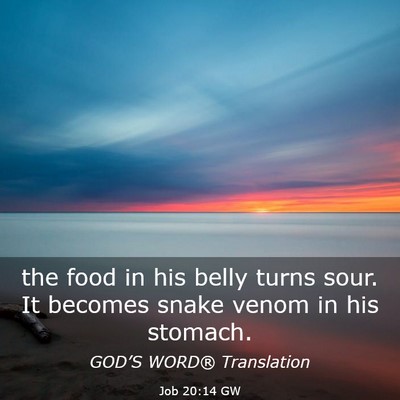 Picture 03 - Job 20:14 GW - the food in his belly turns sour. It becomes - Bible Verse Picture