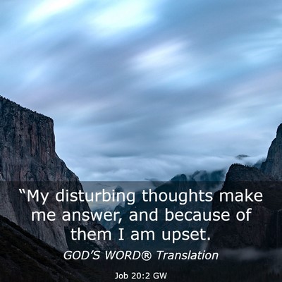 Picture 03 - Job 20:2 GW - “My disturbing thoughts make me answer, and - Bible Verse Picture