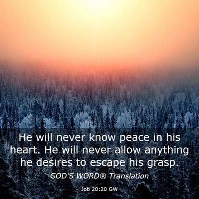 Picture 03 - Job 20:20 GW - He will never know peace in his heart. He will - Bible Verse Picture