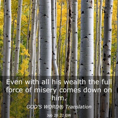 Picture 03 - Job 20:22 GW - Even with all his wealth the full force of misery - Bible Verse Picture
