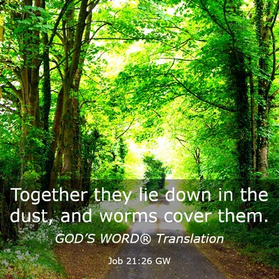 Picture 03 - Job 21:26 GW - Together they lie down in the dust, and worms - Bible Verse Picture