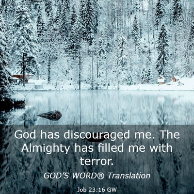 Picture 03 - Job 23:16 GW - God has discouraged me. The Almighty has filled - Bible Verse Picture