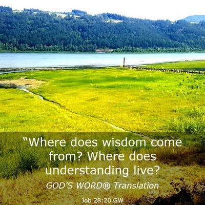 Picture 03 - Job 28:20 GW - “Where does wisdom come from? Where does - Bible Verse Picture