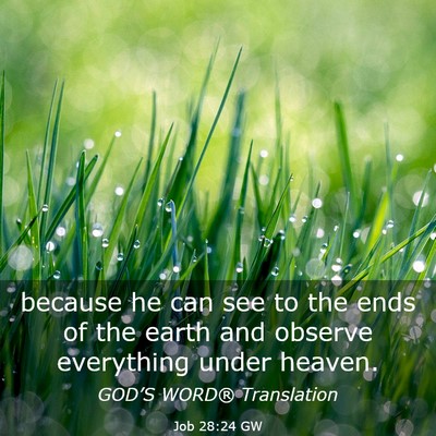 Picture 03 - Job 28:24 GW - because he can see to the ends of the earth and - Bible Verse Picture
