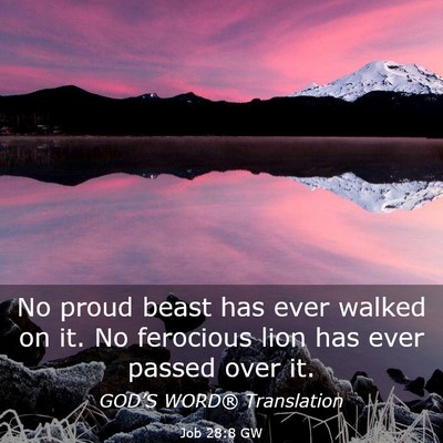 Picture 03 - Job 28:8 GW - No proud beast has ever walked on it. No - Bible Verse Picture
