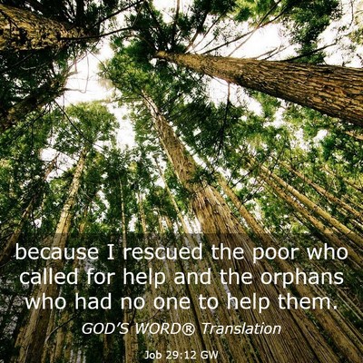 Picture 03 - Job 29:12 GW - because I rescued the poor who called for help - Bible Verse Picture