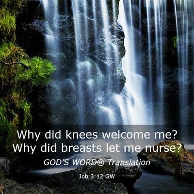 Picture 03 - Job 3:12 GW - Why did knees welcome me? Why did breasts let me - Bible Verse Picture