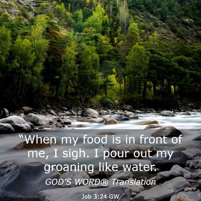 Picture 03 - Job 3:24 GW - “When my food is in front of me, I sigh. I pour - Bible Verse Picture