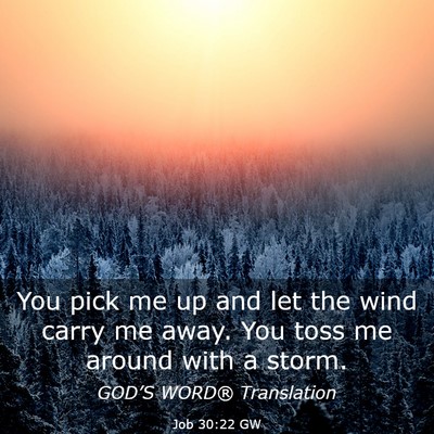 Picture 03 - Job 30:22 GW - You pick me up and let the wind carry me away. - Bible Verse Picture