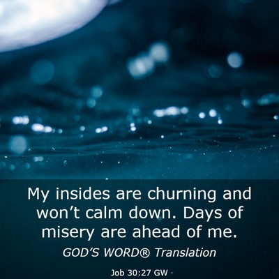 Picture 03 - Job 30:27 GW - My insides are churning and won’t calm down. - Bible Verse Picture