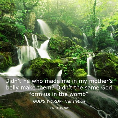 Picture 03 - Job 31:15 GW - Didn’t he who made me in my mother’s belly - Bible Verse Picture