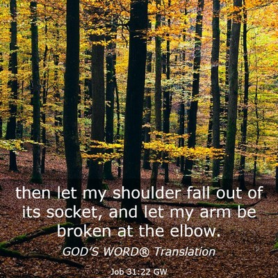 Picture 03 - Job 31:22 GW - then let my shoulder fall out of its socket, and - Bible Verse Picture