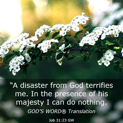 Picture 03 - Job 31:23 GW - “A disaster from God terrifies me. In the - Bible Verse Picture