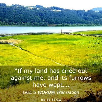 Picture 03 - Job 31:38 GW - “If my land has cried out against me, and its - Bible Verse Picture
