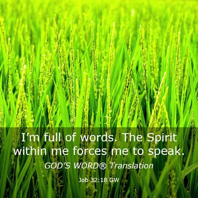 Picture 03 - Job 32:18 GW - I’m full of words. The Spirit within me forces - Bible Verse Picture