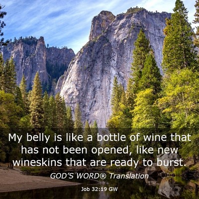 Picture 03 - Job 32:19 GW - My belly is like a bottle of wine that has not - Bible Verse Picture