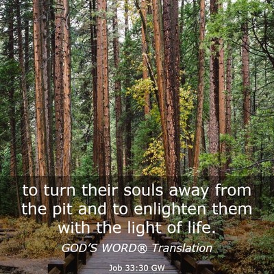 Picture 03 - Job 33:30 GW - to turn their souls away from the pit and to - Bible Verse Picture