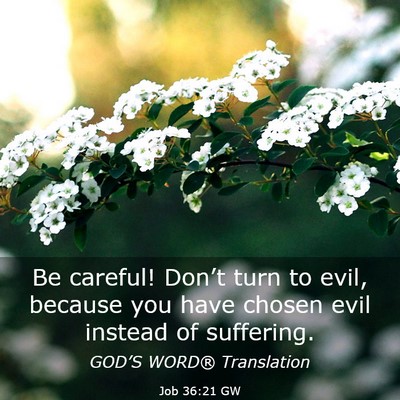Picture 03 - Job 36:21 GW - Be careful! Don’t turn to evil, because you - Bible Verse Picture