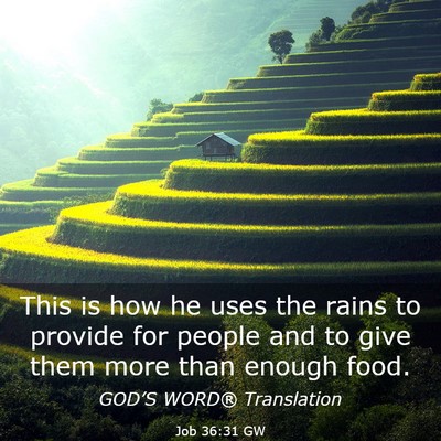 Picture 03 - Job 36:31 GW - This is how he uses the rains to provide for - Bible Verse Picture