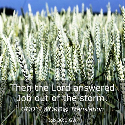 Picture 03 - Job 38:1 GW - Then the Lord answered Job out of the - Bible Verse Picture