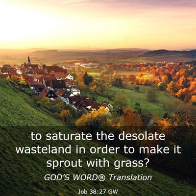 Picture 03 - Job 38:27 GW - to saturate the desolate wasteland in order to - Bible Verse Picture